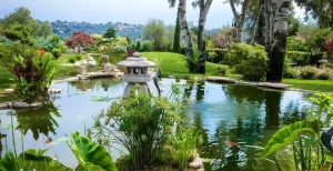 Décor Aquatique